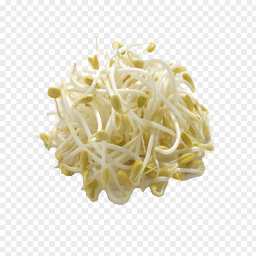 Bean Sprouting Soybean Sprout Chinese Cuisine Mung Food PNG