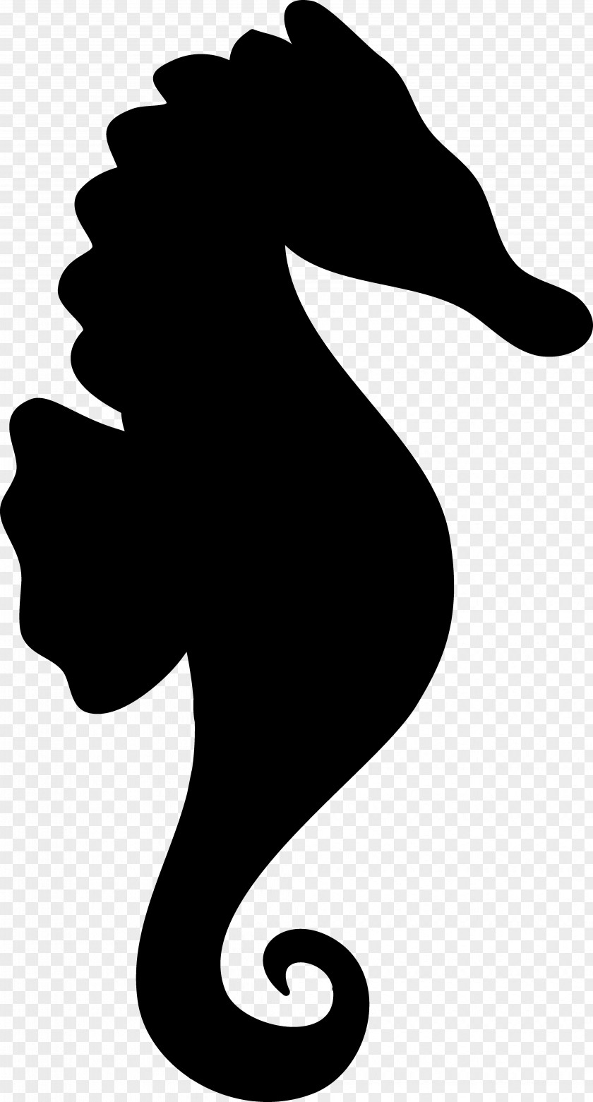 Clip Art Silhouette Female Woman Black And White PNG