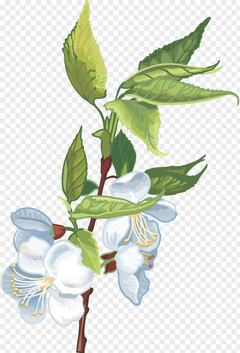 Gurdwara Flower Plant Cerasus Clip Art PNG