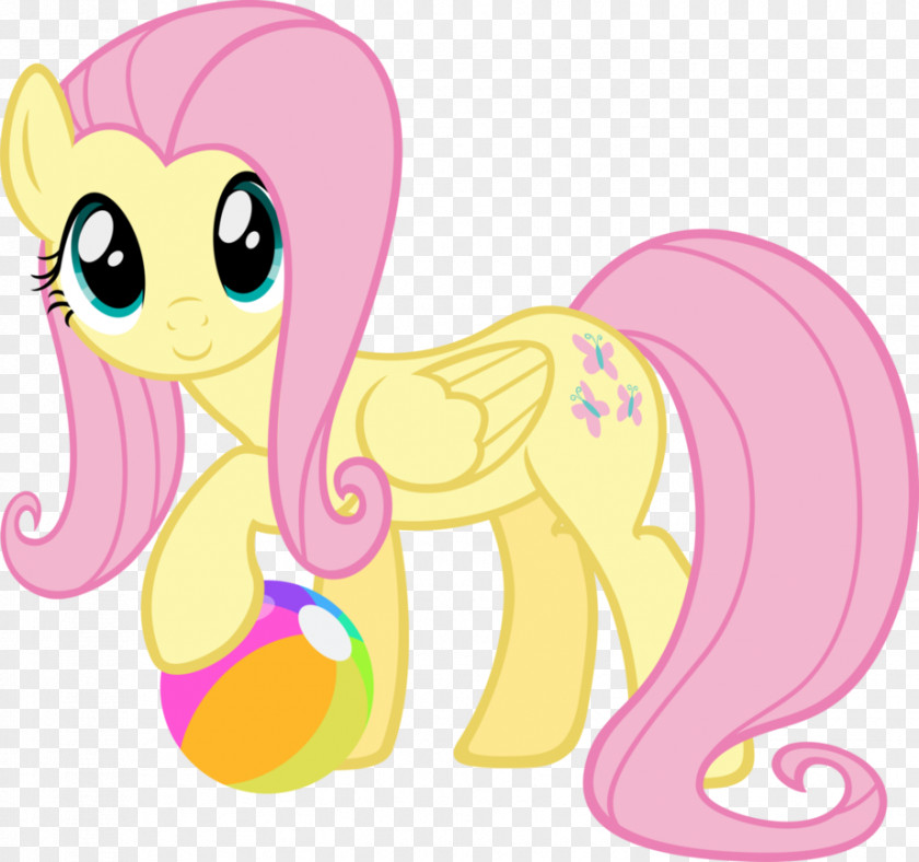 My Little Pony Fluttershy Rarity Rainbow Dash PNG