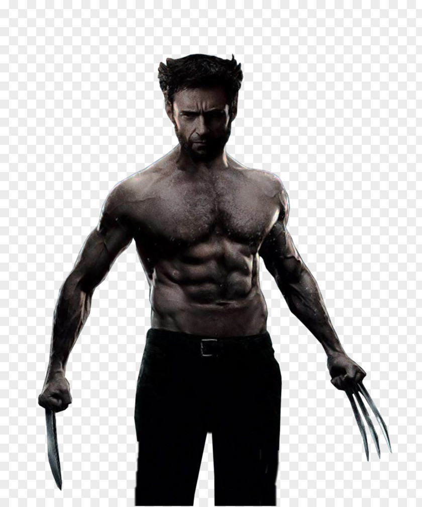 Wolverine Deadpool Silver Fox PNG