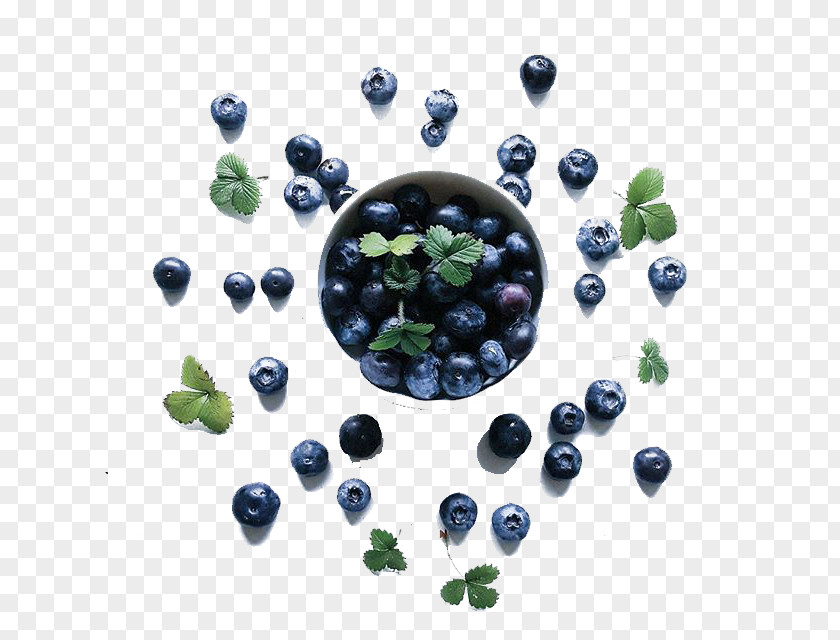 Blueberry Fruit Bilberry PNG