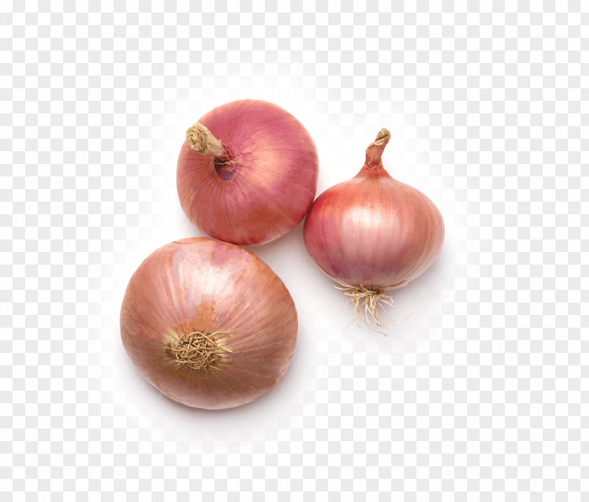 CEBOLLA Yellow Onion Shallot Figueres Garlic Ryvita PNG