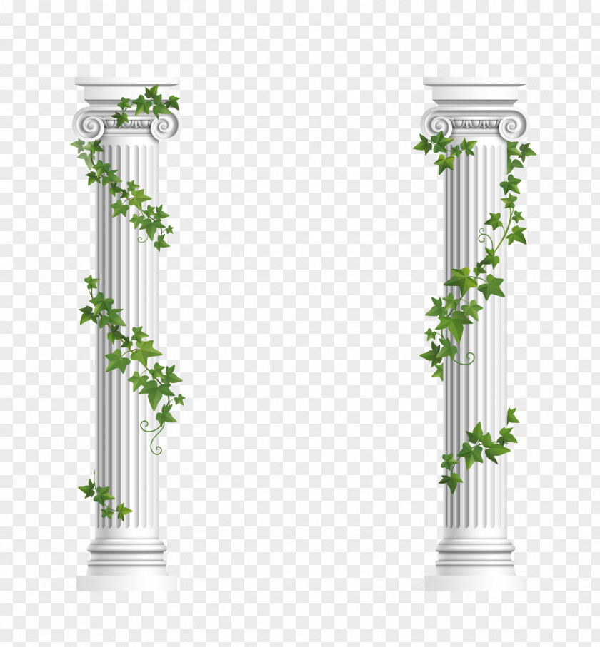 Decorative Columns Column Ionic Order Euclidean Vector Stock Photography PNG