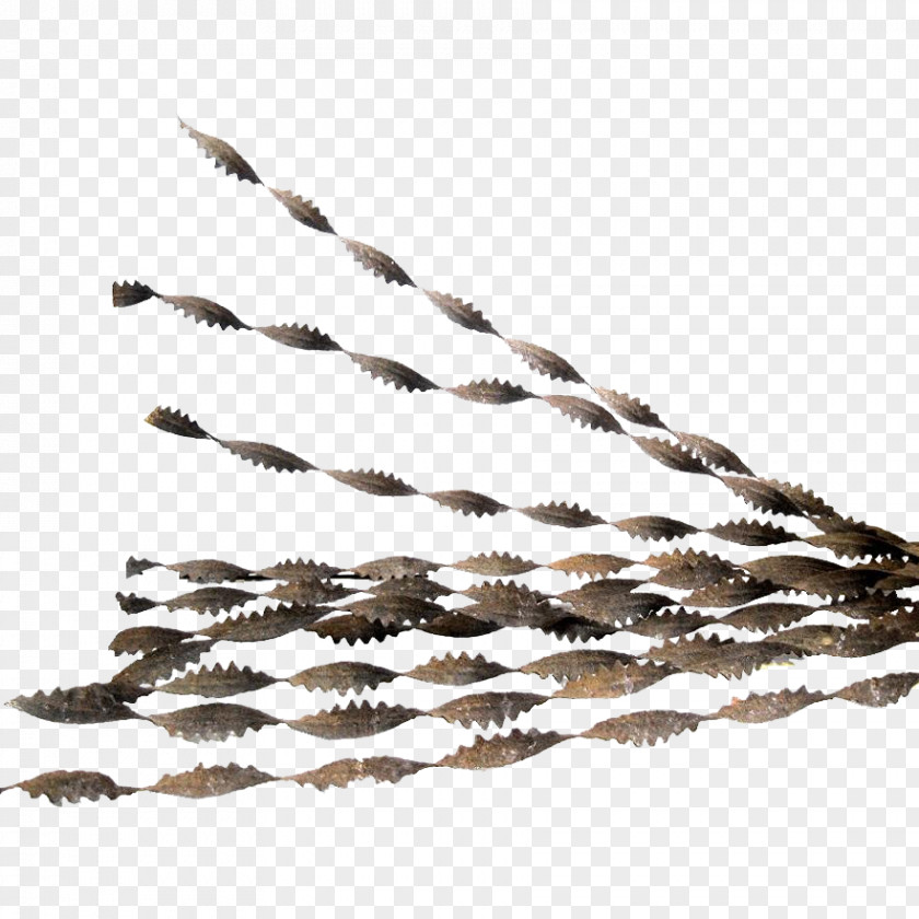 Ribbon Barbed Wire Drawing Pin PNG