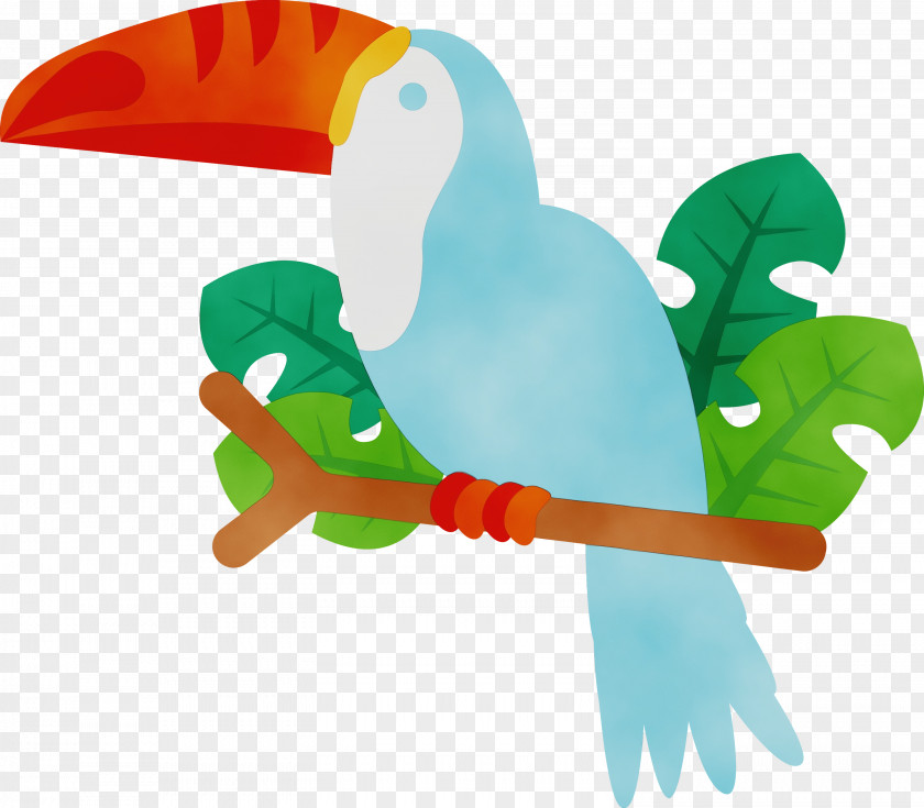 Beak Toucans Biology Birds Science PNG