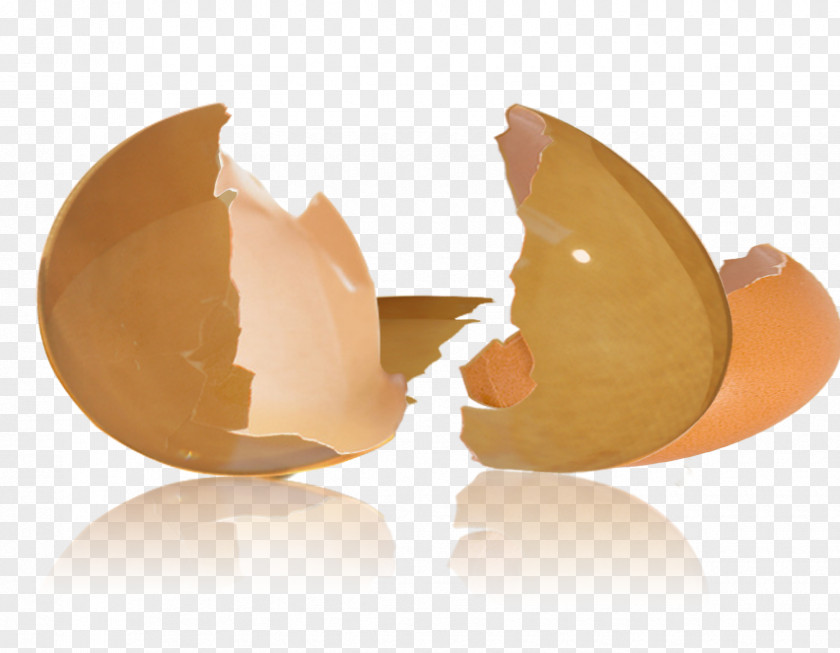 Broken Egg Shell Eggshell Chicken PNG