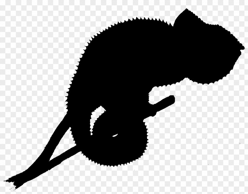 Cat Clip Art Silhouette Fauna Tail PNG