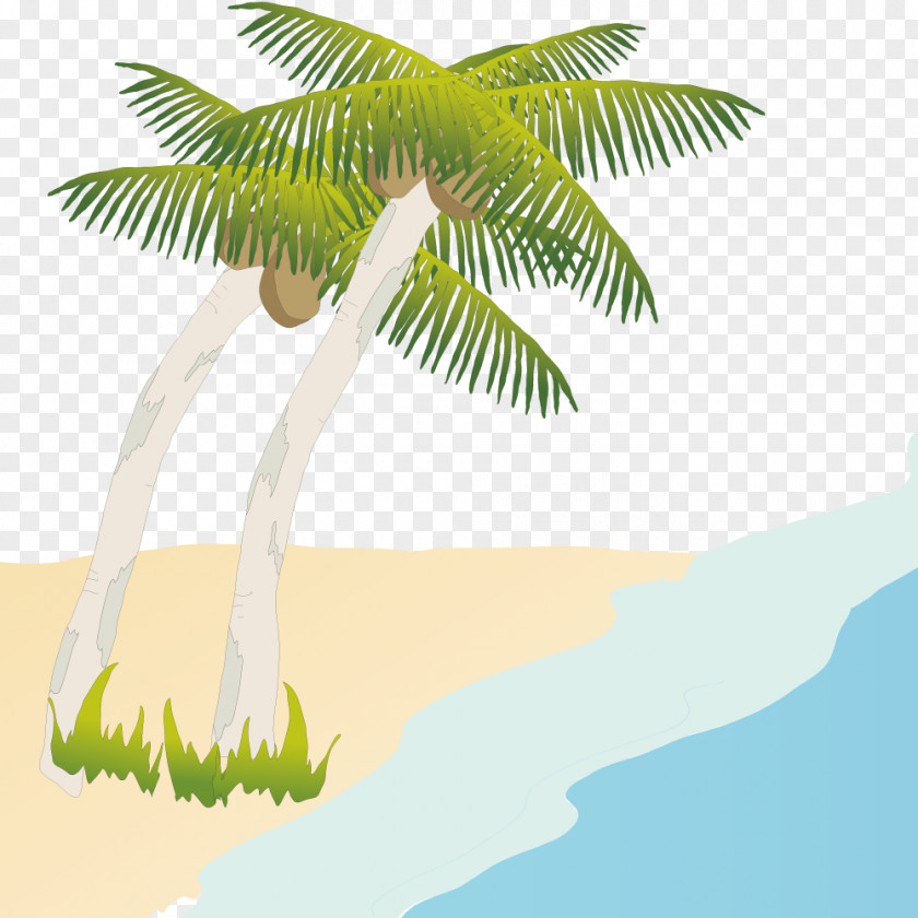 Coconut Tree On The Beach Illustration PNG