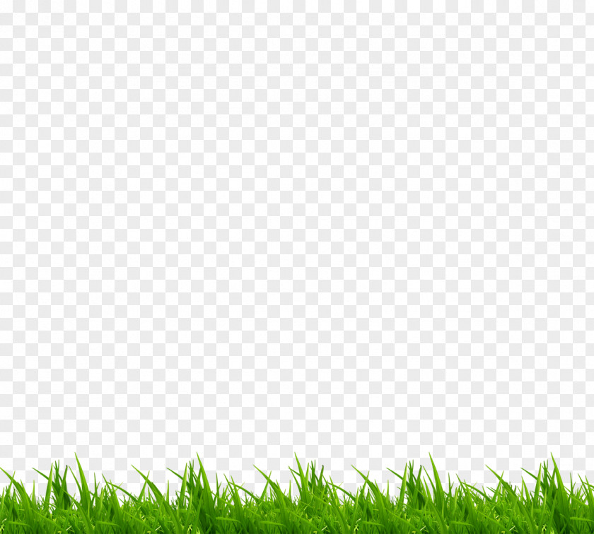 Green Grass PNG