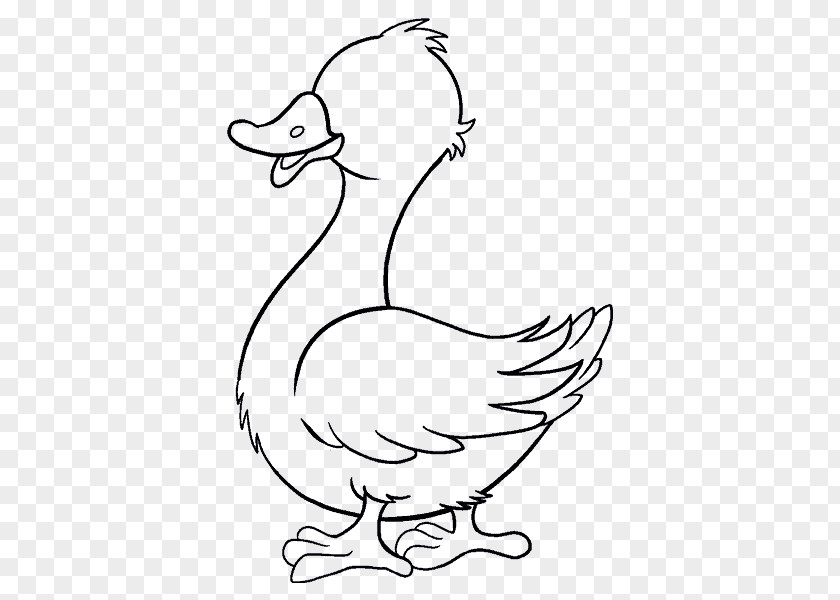 Irregular Background Shading Donald Duck Daisy Drawing Sketch PNG