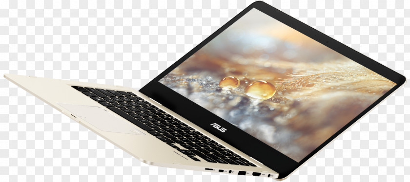 Laptop Intel Asus Zenbook 3 ASUS ZenBook Flip UX461UN-DS74T 14 PNG