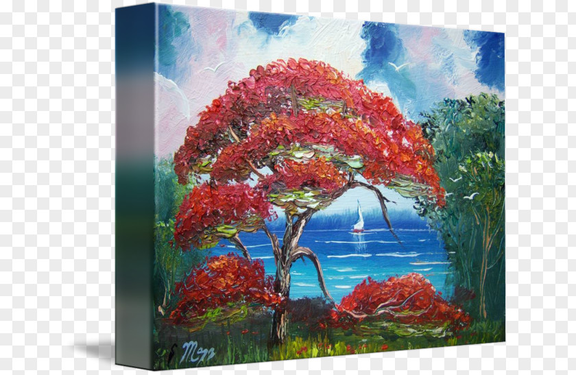 Royal Poinciana Painting Acrylic Paint Gallery Wrap Tree PNG