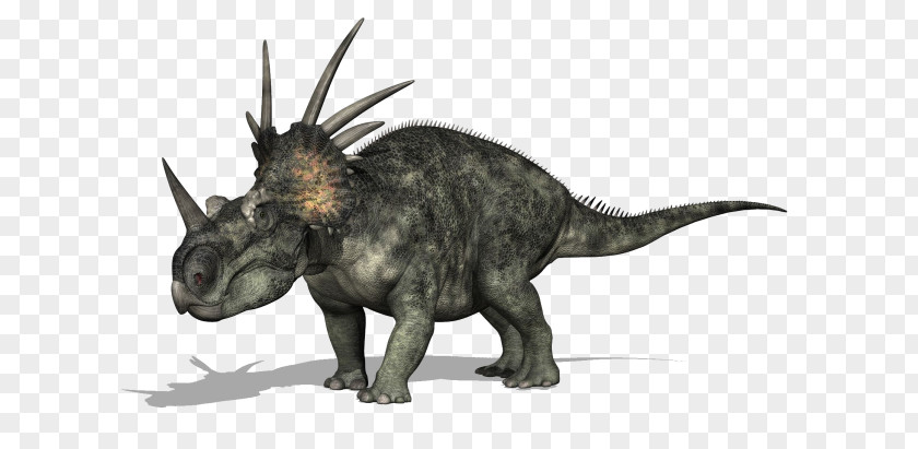 Styracosaurus Drawing Photography PNG