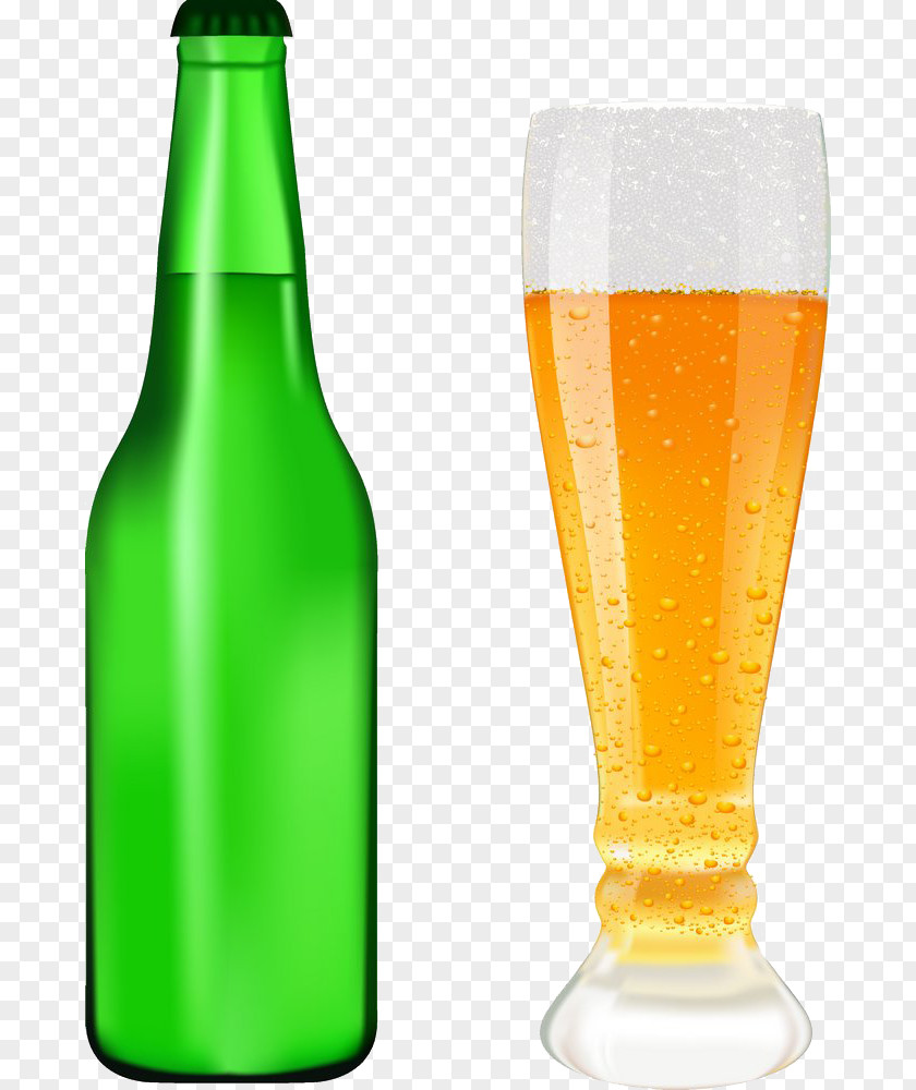 Vector Image Beer Bottle Drink Alcoholic Beverage Cup PNG