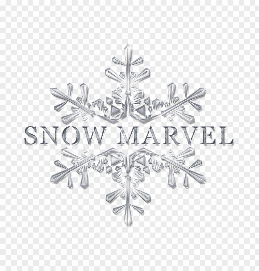 Logo Snow Image Clip Art PNG