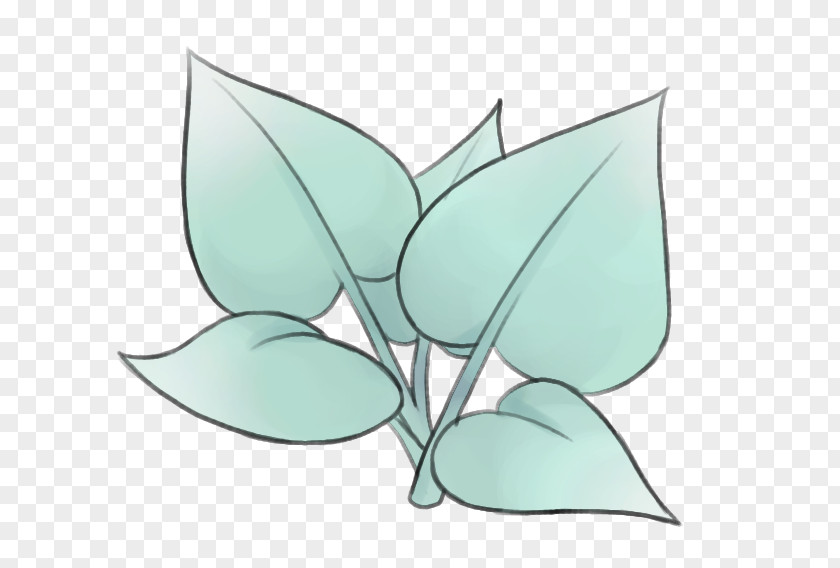 Mint Leaf Petal Teal Flowering Plant PNG