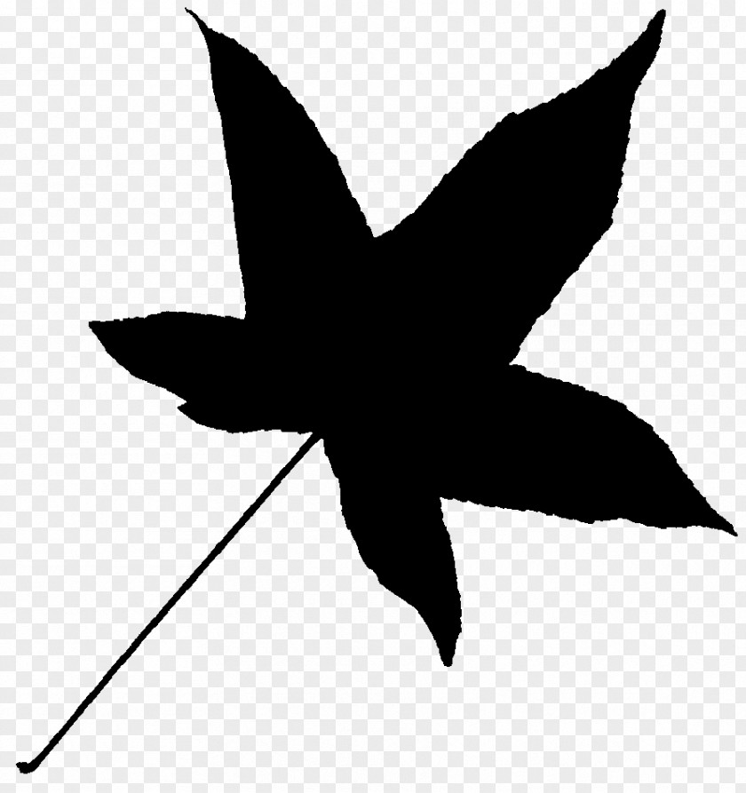 Leaf Clip Art Silhouette Line Beak PNG