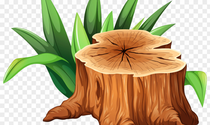 Tree Clip Art Stump Trunk Illustration PNG