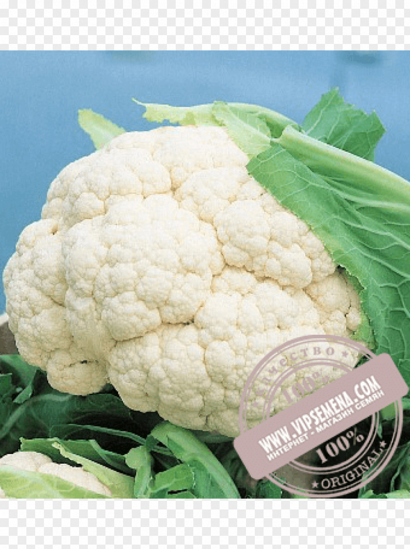 Cauliflower Seed Cultivar Vilmorin Cruciferous Vegetables PNG