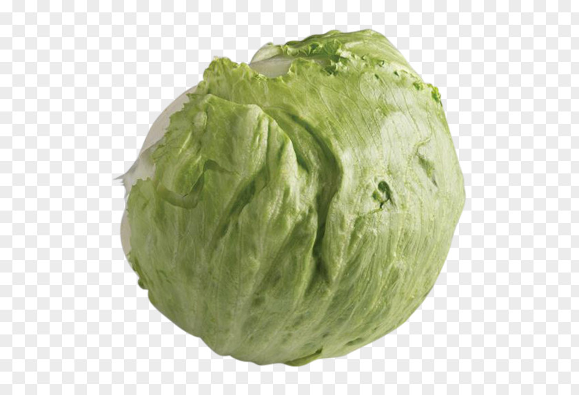 Lettuce Iceberg Soup Sandwich Cabbage Vegetable PNG