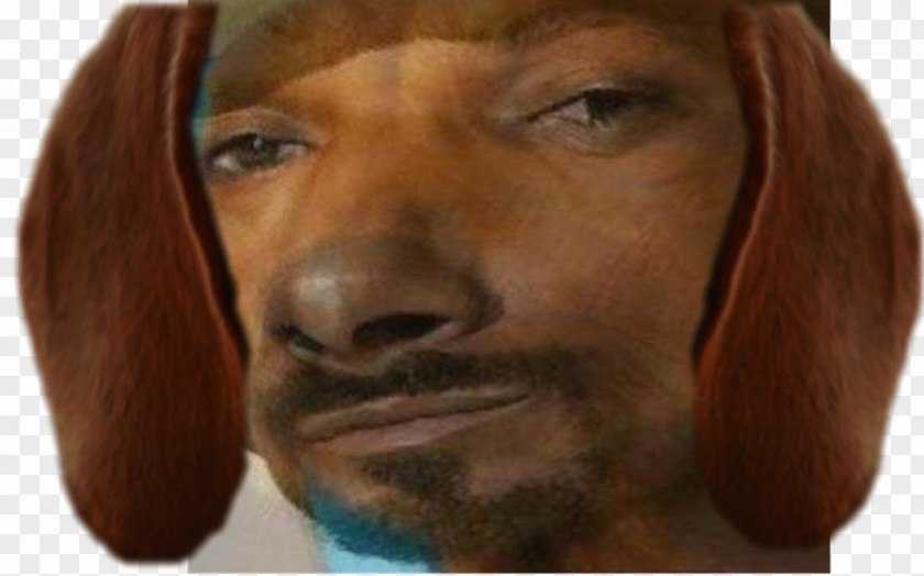 Snoop Dogg Dachshund Irish Setter Vizsla Snout PNG