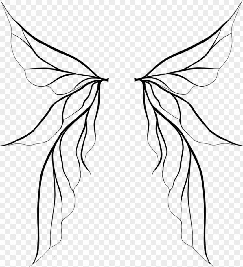 Tooth Fairy Drawing Faerieworlds Clip Art PNG