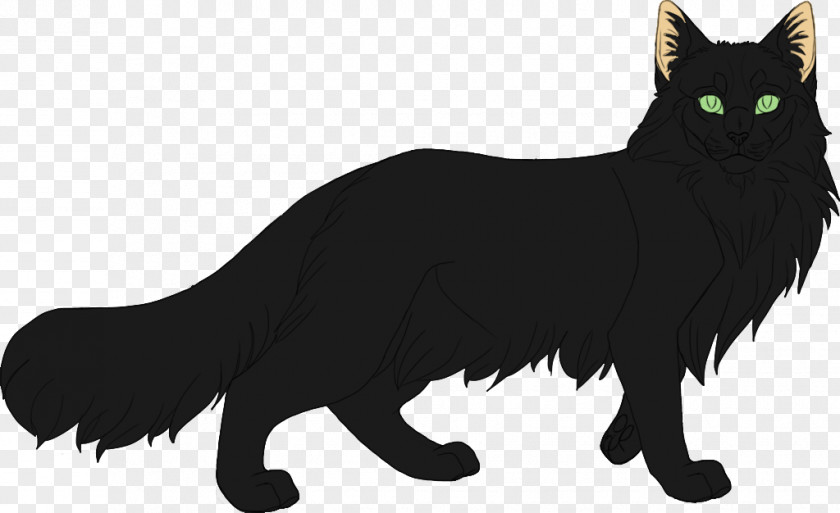 Black Cat Whiskers British Shorthair Persian American PNG