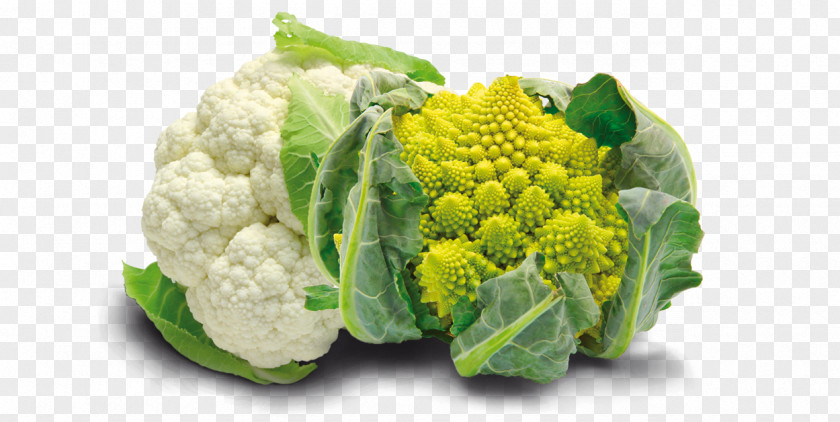 Broccoli Romanesco Cauliflower Broccoflower Vegetable PNG