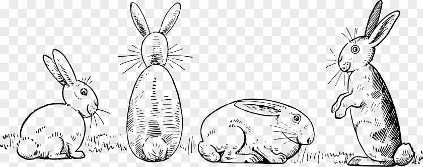 Bunny Rabbit Draw 50 Animals Drawing Made Easy: A Helpful Book For Young Artists; The Way To Begin And Finish Your Sketches Clearly Shown Step By White Clip Art PNG