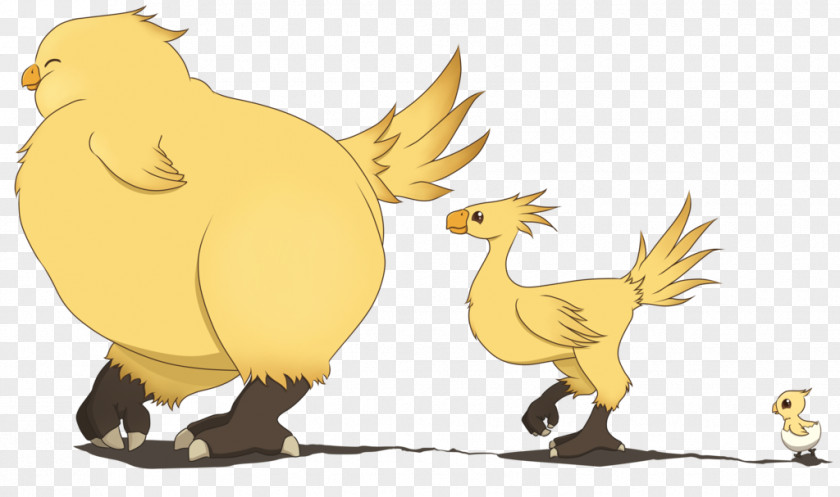 Chocobo Illustration Rooster Fan Art Drawing Chicken PNG