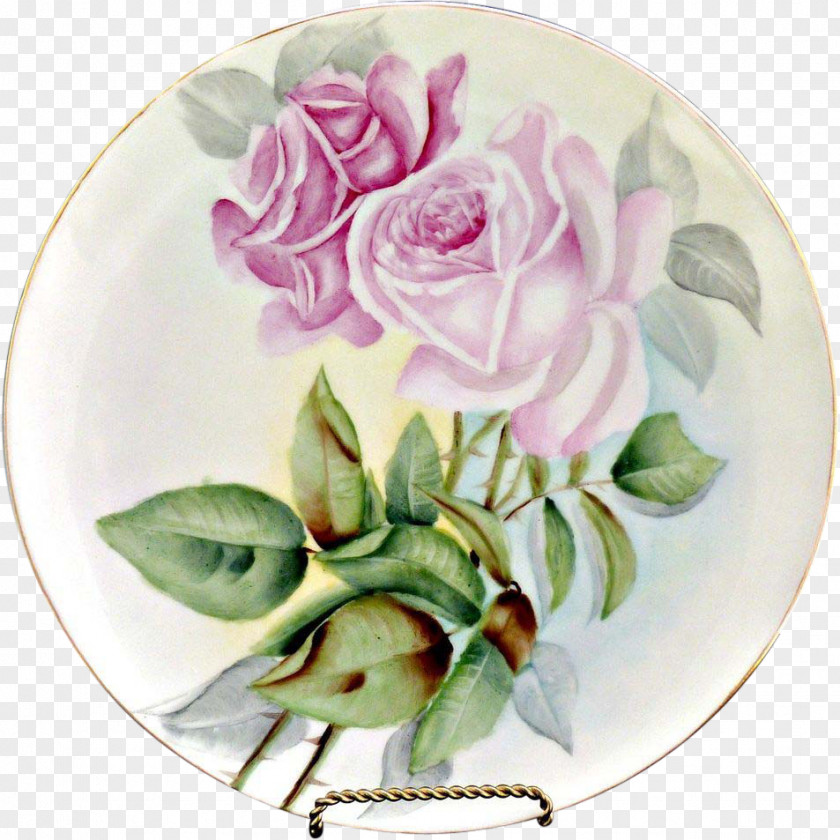 Flower Cabbage Rose Garden Roses Floral Design Cut Flowers PNG
