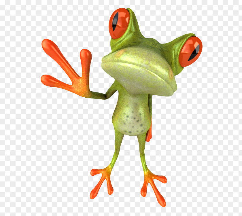 Frog Fun Frogs Post Cards Stock Photography PNG