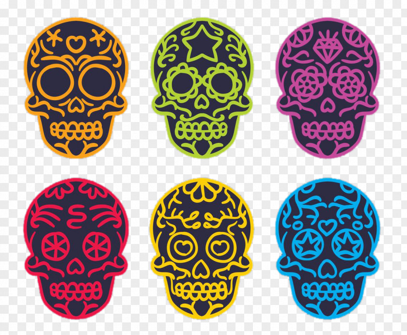 Multicolored Skull Skeleton Clip Art PNG