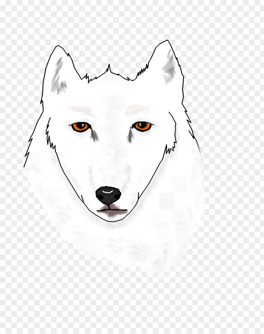 Bear Snout Sketch Illustration Whiskers PNG