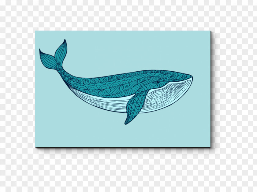 Blue Whale Dolphin Painting PNG