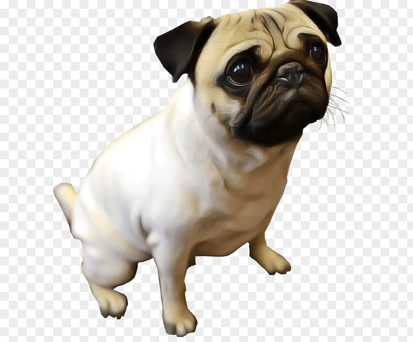 Dog Pug Snout Companion Toy PNG