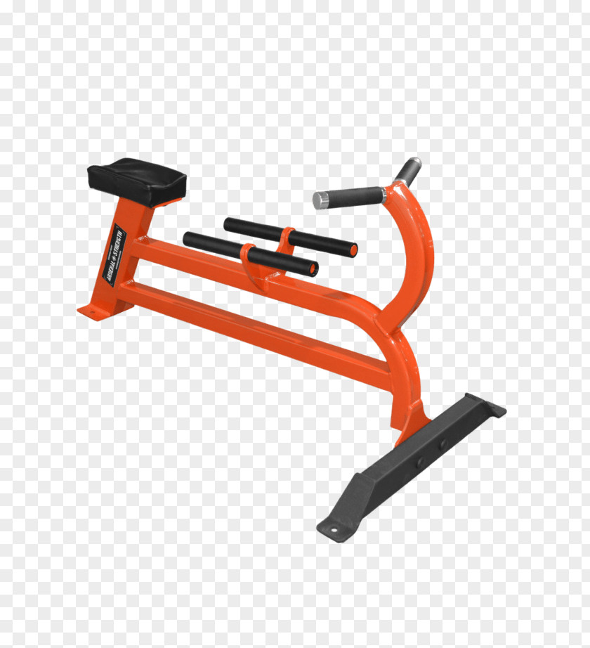 Exercise Machine Bent-over Row Bench Dumbbell PNG