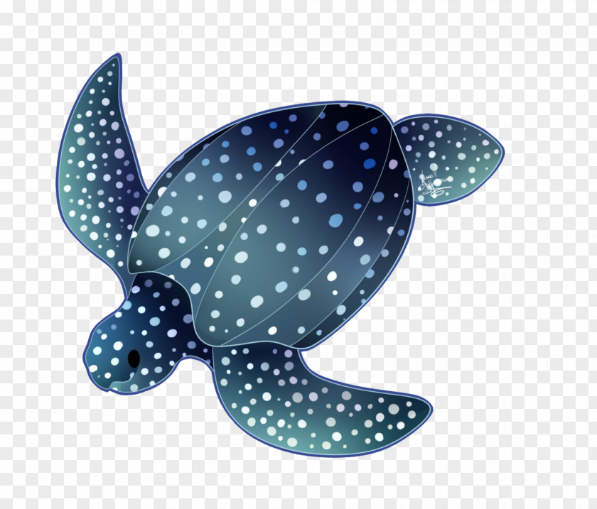 Fish Marine Biology Turquoise PNG