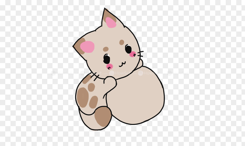Kitten Whiskers Cat Dog Paw PNG