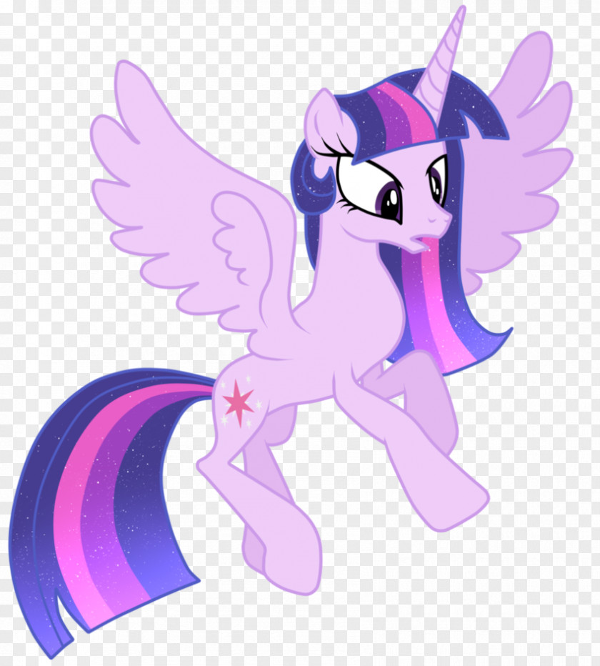 Sparkle Pony Twilight Rainbow Dash Pinkie Pie Princess Cadance PNG