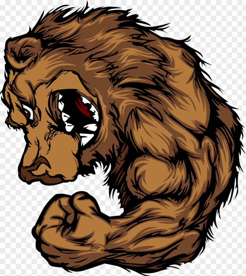 Strong Lion American Black Bear Grizzly Clip Art PNG