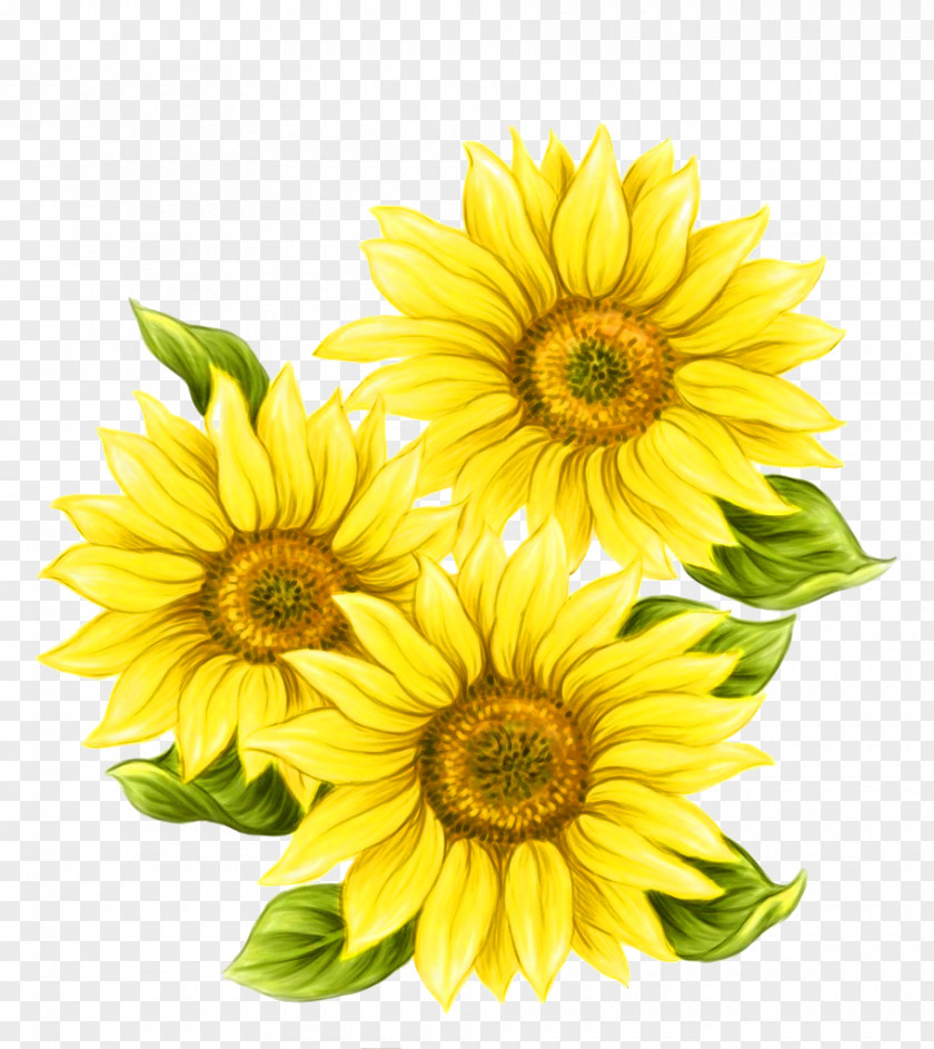 Yellow Hand Painted Sunflower Decorative Pattern Watercolor Painting Common PNG