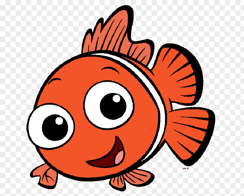 Brazil Vector Finding Nemo Drawing Marlin PNG
