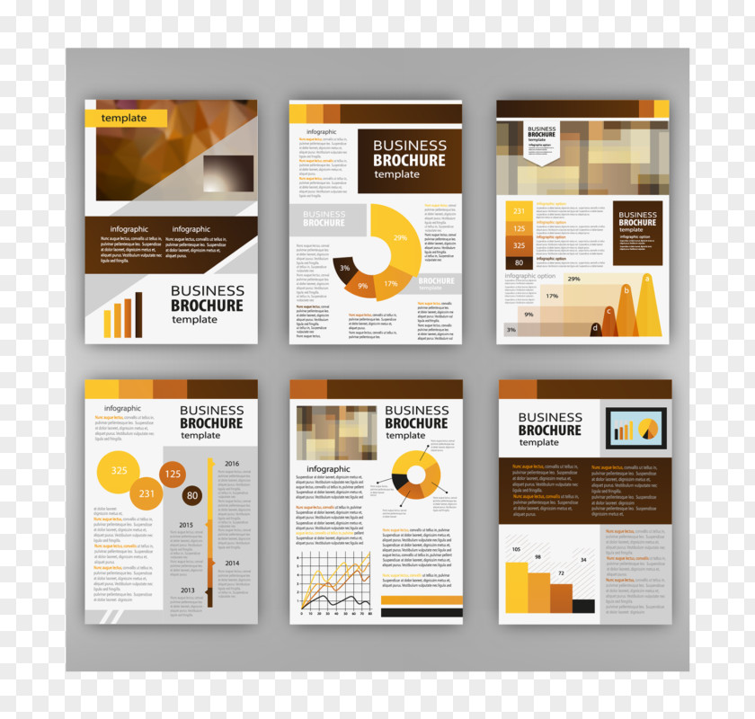 Business Infographic Brochure Image Presentation PNG
