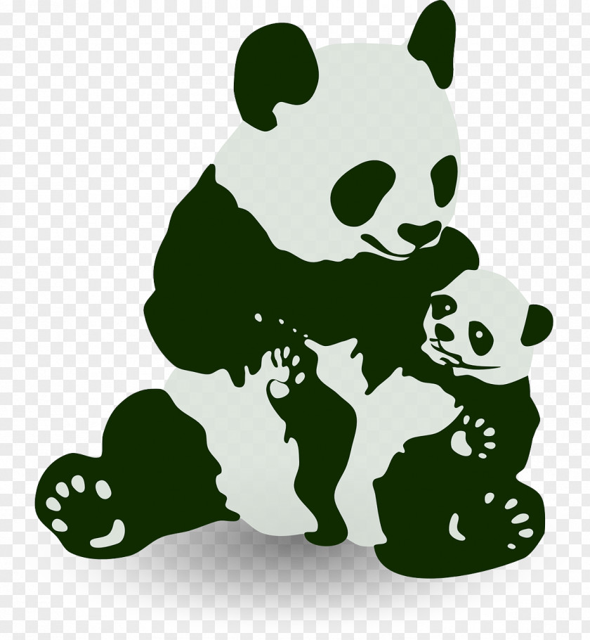 Cute Panda Giant Bear Baby Grizzly Clip Art PNG