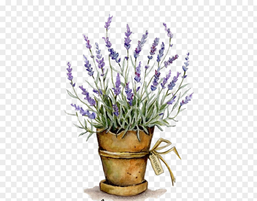 English Lavender Drawing Paper Decoupage PNG
