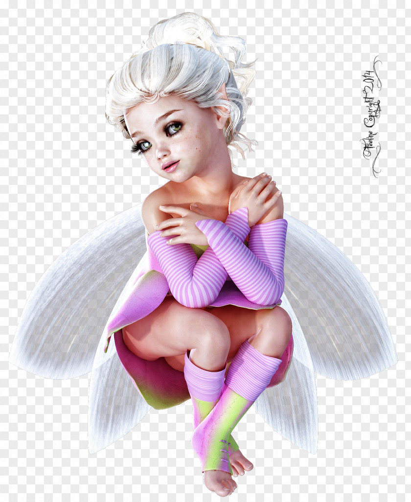 Fairy Elf Biscuits Pixie PNG