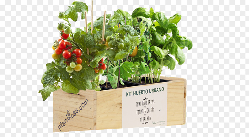 Festival Decoration Market Garden Flowerpot Herb Plant Growbag PNG