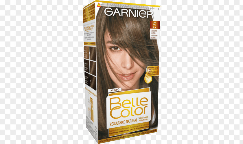 Hair Coloring Garnier Permanents & Straighteners Chestnut PNG